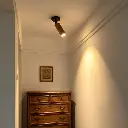 1785264308131.webp